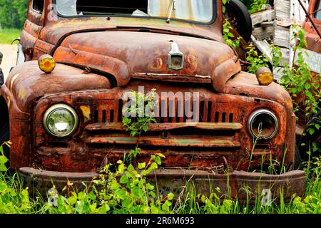 Vecchi camion di pick-up arrugginiti abbandonati in campo. Foto Stock