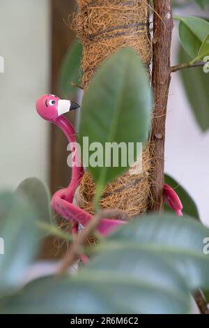 Divertente flamingo Plant Holder tiene ficus Foto Stock