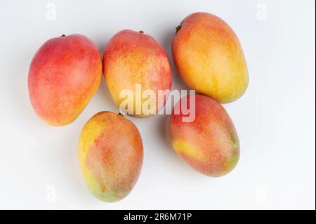 Diversi frutti di mango di colore rosso sopra la vista dall'alto isolato su sfondo bianco studio Foto Stock