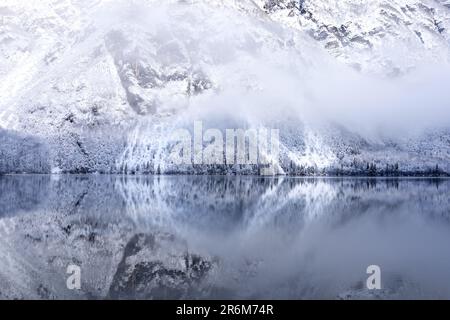 riflessione delle montagne della riva e della foresta nel lago di montagna Foto Stock