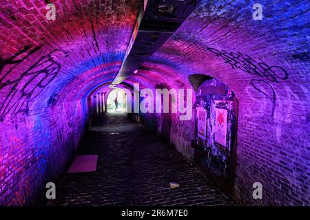 Tunnel illuminato Ganzemarkt per Oudegracht nel centro storico di Utrecht, Paesi Bassi Foto Stock