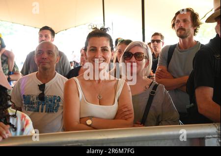 Migliaia di partecipanti al Lambeth Country Show 2023 in una calda estate al Brockwell Park, Londra, Regno Unito. Credit: Vedi li/Picture Capital/Alamy Live News Foto Stock