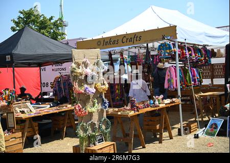 Migliaia di partecipanti al Lambeth Country Show 2023 in una calda estate al Brockwell Park, Londra, Regno Unito. Credit: Vedi li/Picture Capital/Alamy Live News Foto Stock