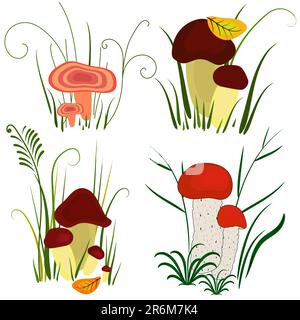 Set di vari funghi su bianco (vettore) Illustrazione Vettoriale