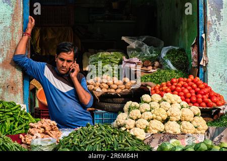 Il venditore di verdure ih il suo negozio nel mercato di Sadar. Jodhpur, Rajasthan, India Foto Stock