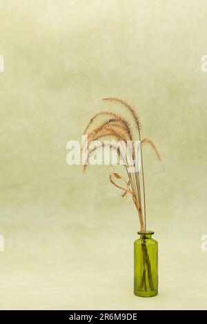 cereali di fiori secchi in una lattina su sfondo verde acquerello Foto Stock