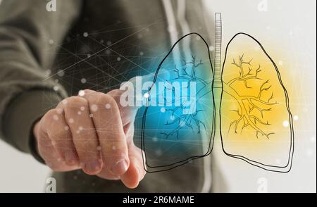 Bella anatomia dei polmoni umani su sfondo scientifico. illustrazione 3d Foto Stock