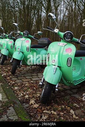 Leer, Germania - Jan 29 2023 Una fila di scooter elettrici verdi menta parcheggiati. Sono in affitto e si chiamano 'Küstenflipper'. Un progetto del comune Foto Stock