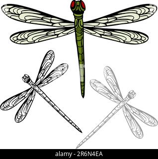 Una immagine di una libellula realistiche. Illustrazione Vettoriale