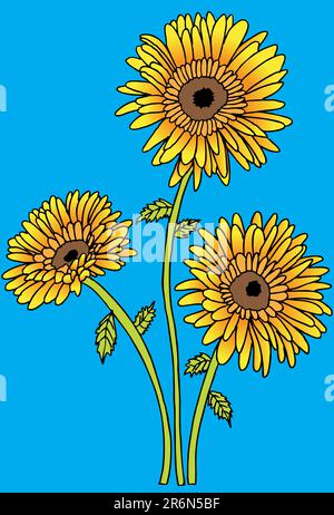 Immagine di girasoli disegnata a mano. Illustrazione Vettoriale