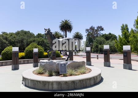 Scultura Mustang nel campus della California Polytechnic state University Foto Stock