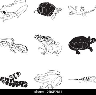 Rettili e anfibi vari, set di clipart vettoriali Illustrazione Vettoriale