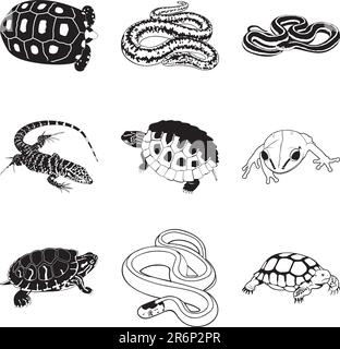 Rettili e anfibi vari, set di clipart vettoriali Illustrazione Vettoriale