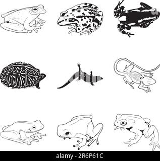 Rettili e anfibi vari, set di clipart vettoriali Illustrazione Vettoriale