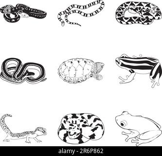 Rettili e anfibi vari, set di clipart vettoriali Illustrazione Vettoriale