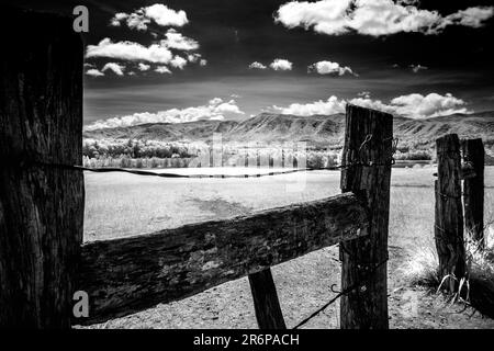 La recinzione vista a circa metà del percorso intorno a Cade's Cove nel Great Smoky Mountain National Park. Riprese a infrarossi in bianco e nero. Foto Stock