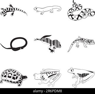 Rettili e anfibi vari, set di clipart vettoriali Illustrazione Vettoriale
