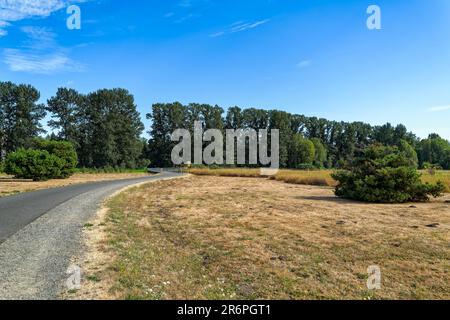 Percorso di collegamento e ponte al Marymoor Park a Redmond, Washington, USA Foto Stock