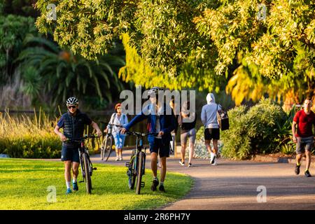 MELBOURNE, AUSTRALIA - MAGGIO 17: Due ciclisti camminano sui sentieri dei Giardini Botanici di Melbourne dopo la riapertura dopo due mesi di chiusura, in quanto le restrizioni sono state attenuate a Victoria durante il COVID 19 il 17 Maggio 2020 a Melbourne, Australia. Foto Stock