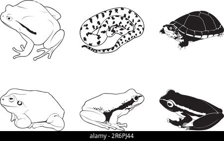 Rettili e anfibi vari, set di clipart vettoriali Illustrazione Vettoriale