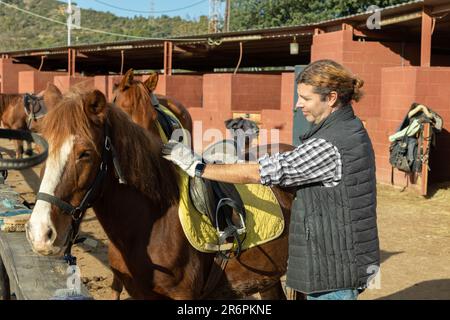 Ritratto di un cavaliere adulto sicuro regolazione sella di cavallo prima di cavalcare in country club Foto Stock