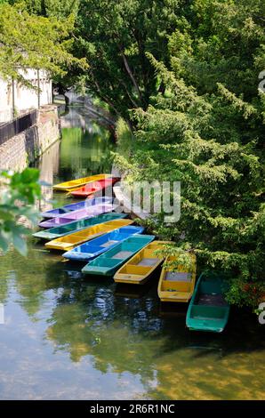 Puntate sul fiume Cherwell sotto Magdalen Bridge, Oxford, Oxfordshire, Inghilterra, Regno Unito. Foto Stock