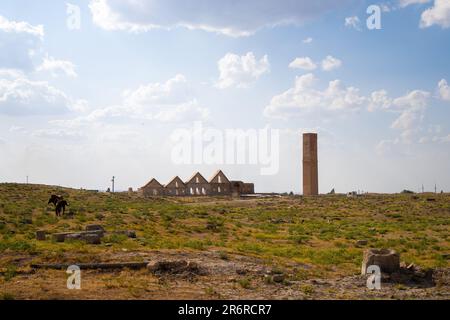 Rovine dell'antica città di Harran in Mesopotamia. Foto Stock