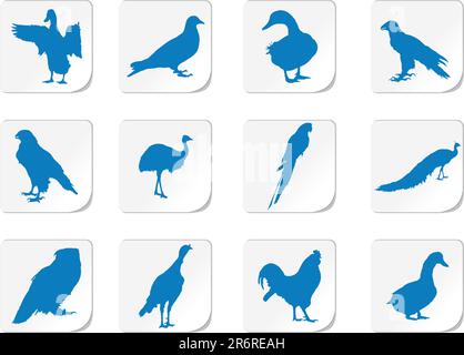 Set Birds. Vettore. Opere simili sono nelle mie gallerie Illustrazione Vettoriale