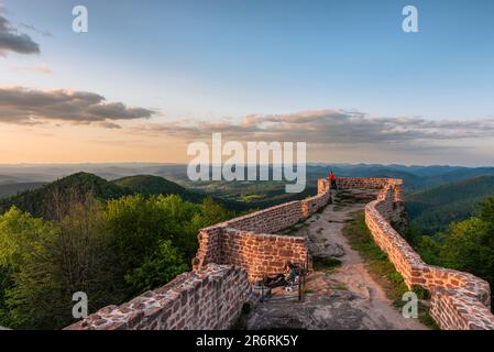 Un uomo si trova sulle rovine del castello di Wegelnburg e guarda il tramonto sulle foreste dei Monti Palatinati in primavera, Renania-Palatinato, Germania Foto Stock