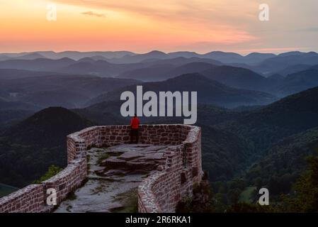 Un uomo che sorge sulle rovine del castello di Wegelnburg, che guarda l'alba sulle foreste dei Monti Palatinati, Renania-Palatinato, Germania Foto Stock