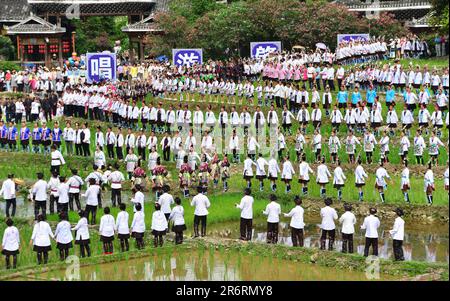 Diecimila persone cantano la grande canzone del gruppo etnico Dong nella campagna del villaggio di Dong a Qiandongnan, provincia di Guizhou, Cina, giugno Foto Stock