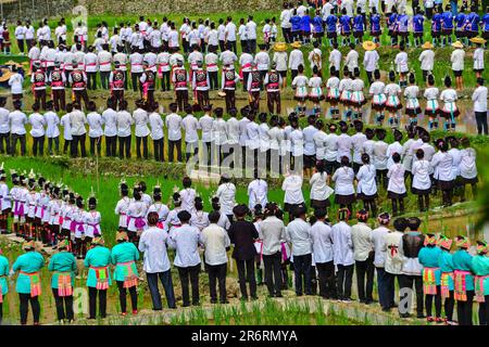 Diecimila persone cantano la grande canzone del gruppo etnico Dong nella campagna del villaggio di Dong a Qiandongnan, provincia di Guizhou, Cina, giugno Foto Stock