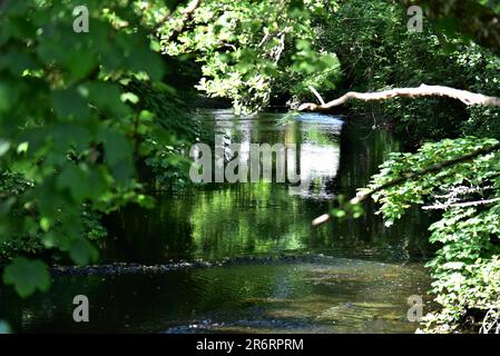 Repubblica d'Irlanda caratteristica, le immagini mostrano la posizione del film il campo. KILLARY FJORD, Connemara cottage, asini, FIUME OWENRIFF, Contea di Galway Foto Stock