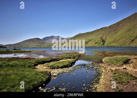 Repubblica d'Irlanda caratteristica, le immagini mostrano la posizione del film il campo. KILLARY FJORD, Connemara cottage, asini, FIUME OWENRIFF, Contea di Galway Foto Stock