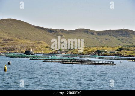 Repubblica d'Irlanda caratteristica, le immagini mostrano la posizione del film il campo. KILLARY FJORD, Connemara cottage, asini, FIUME OWENRIFF, Contea di Galway Foto Stock