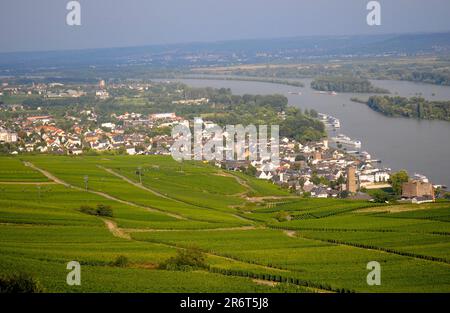 Rüdesheim am Rhein, monumento a Niederwald, patrimonio mondiale dell'UNESCO, alta valle del Reno, la vigilanza sul Reno, vista di Rüdesheim dal Niederwal Foto Stock