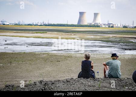 NEW-NAMES - visitatori del giorno aperto del Hedwige-Prosperpolder (l'ex Hedwigepolder). Nell'area depolrata, si dovrebbe infine creare il parco naturale Groot Saeftinghe, nel quale le maree di riflusso e flusso plasmano la natura. Un sacco di commozione ha preceduto la depoldering della zona. ANP ROBIN UTRECHT olanda fuori - belgio fuori Foto Stock