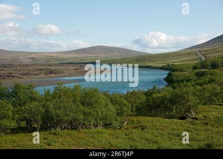 Fiume Skjalfandafljot, a Sprengisandsleid, sulla Sprengisandur Highland Road F26, Islanda Foto Stock