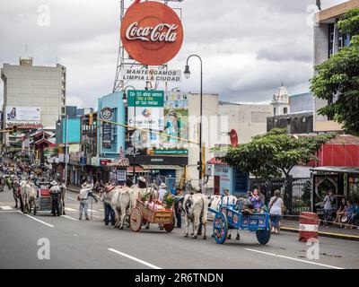 Sfilata tradizionale di bue cart a San José, Costa Rica. Foto Stock