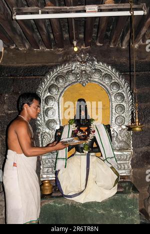 Un sacerdote che esegue Pooja a Dakshinamurthy (Siva come guru) Thyagaraja Swamy tempio a Tiruvottriyur, Chennai, Tamil Nadu, India, Asia Foto Stock
