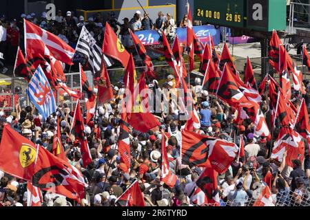 Durante il podio della 24 ore di le Mans 2023 sul circuito des 24 Heures du Mans il 11 giugno 2023 a le Mans, Francia - Foto: Alexandre Guillaumot/DPPI/LiveMedia Foto Stock