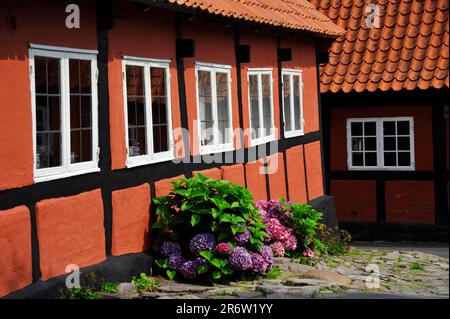 Casa, Gudhjem, Bornholm, Danimarca Foto Stock