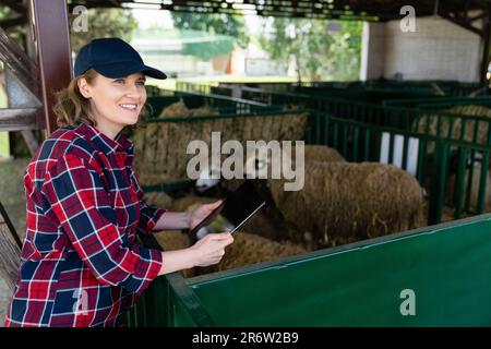 Donna contadina con tablet in un ovile. Gestione delle mandrie Foto Stock