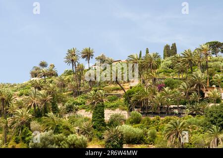 Giardini del Carpo, Bordighera, Riviera Italiana, Liguria, Italia Foto Stock