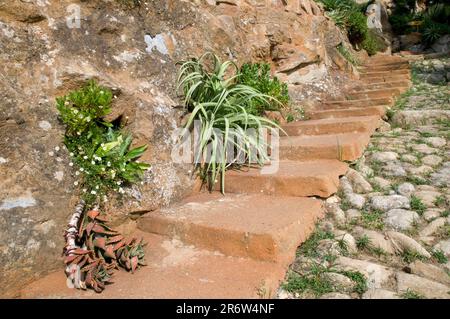 Scalinata in pietra, Giardino Esotico Pallanca, Bordighera, Riviera Italiana, Liguria, Italia, Parco costiero, Giardino esotico Foto Stock