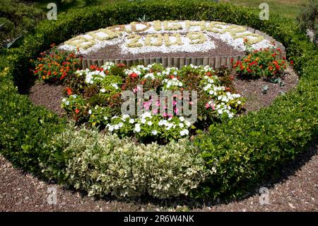 Carattere floreale, Bordighera, Riviera Italiana, Liguria, Italia Foto Stock