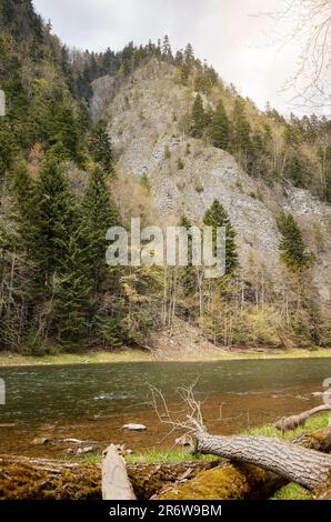 Foto del fiume Dunajec nelle montagne di Pienin, Polonia. Foto Stock