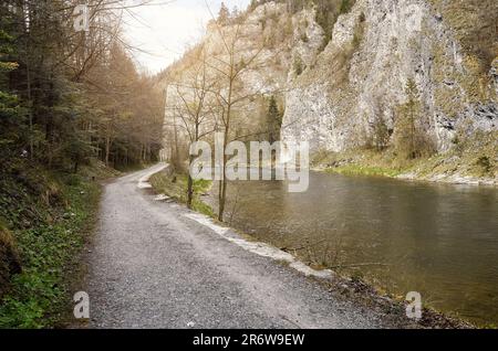 Un percorso lungo il fiume Dunajec nelle montagne Pieniny, Polonia. Foto Stock