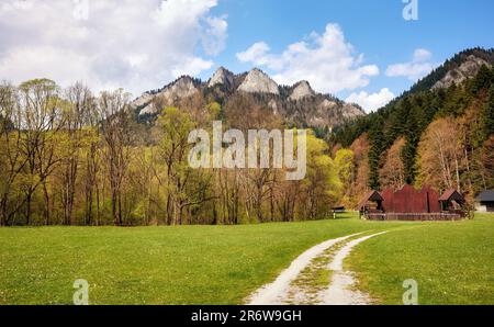 Strada sterrata che conduce al picco di Trzy Korony (tre corone) nel Parco Nazionale di Pieniny, Monastero Rosso, Slovacchia. Foto Stock