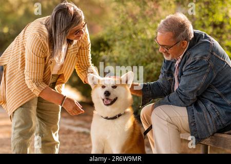 Felice uomo europeo maturo e donna con cane godere data insieme, a piedi, animali da cucito nel parco Foto Stock